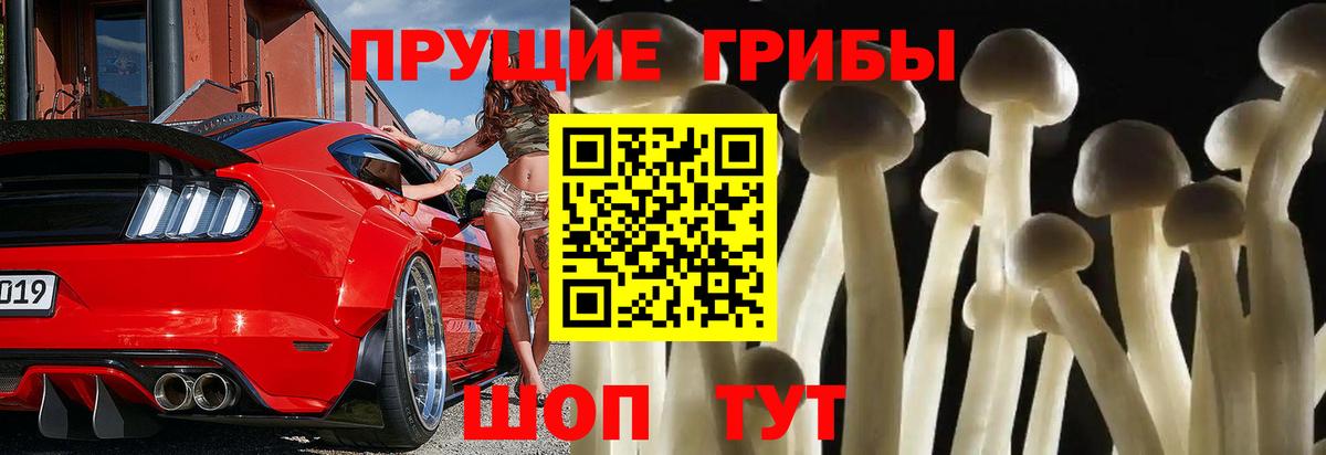 Чусовой  Галлюциногенные грибы ЛСД  Галлюциногенные грибы ЛСД  Вход с VPN 